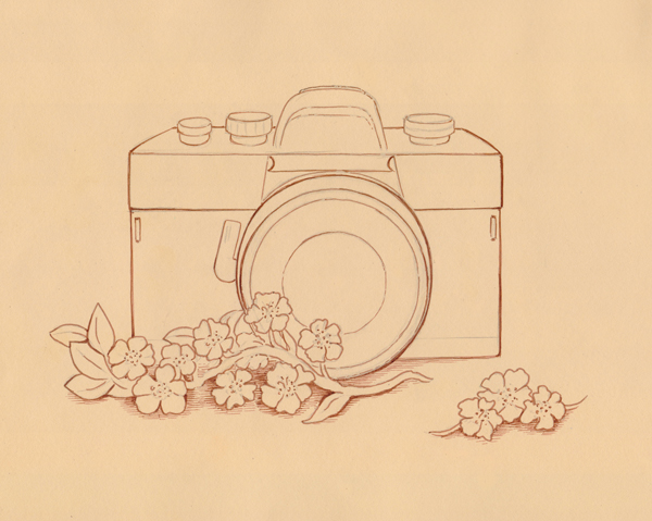 Creating the contours